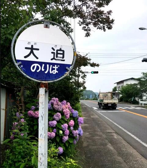 简单的日语单词|日语动词过去时的用法解析
