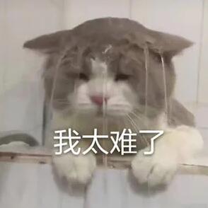 流行日语“我太难了”用日语怎么说？