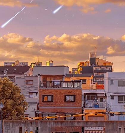 「日语一级在线学习」日语助词“も”的10种用法