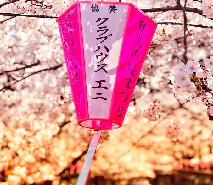 如何正确选择合适自己的日语学校？